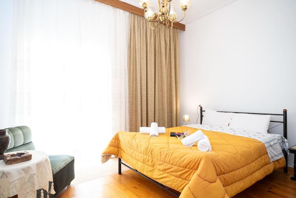 Theoni Central Apartment Kalambaka Extérieur photo