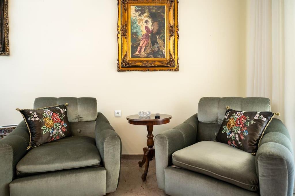 Theoni Central Apartment Kalambaka Extérieur photo