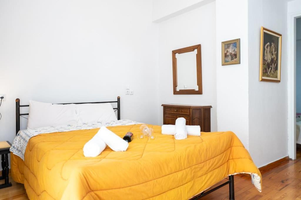Theoni Central Apartment Kalambaka Extérieur photo