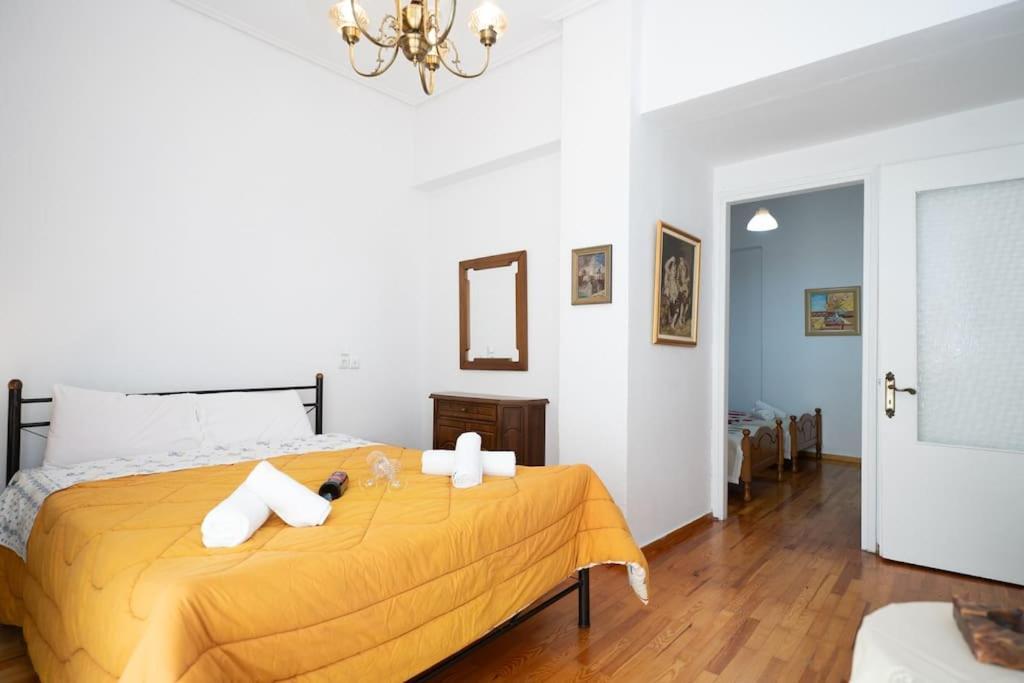 Theoni Central Apartment Kalambaka Extérieur photo